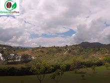Load image into Gallery viewer, Colombian green coffee plantation
