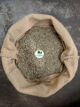 Load image into Gallery viewer, Ethiopian Yirgacheffe Aricha Misty Valley Green Unroasted